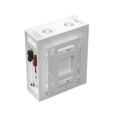 BasenGreen аккумулятор LIFEPO4 51.2В 200АH 10.24 KWH BR-WM-LV 10KWH