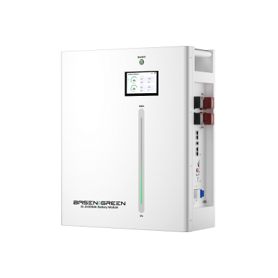 BasenGreen аккумулятор LIFEPO4 51.2В 200АH 10.24 KWH BR-WM-LV 10KWH